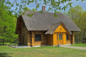 Dom pod sosnami, Gryzyna